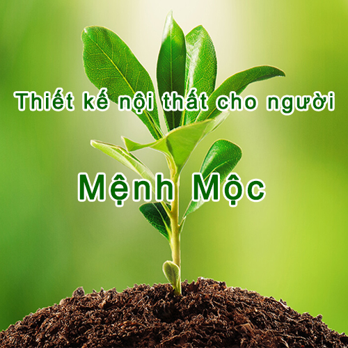 Thiết kế nội thất cho người mệnh Mộc